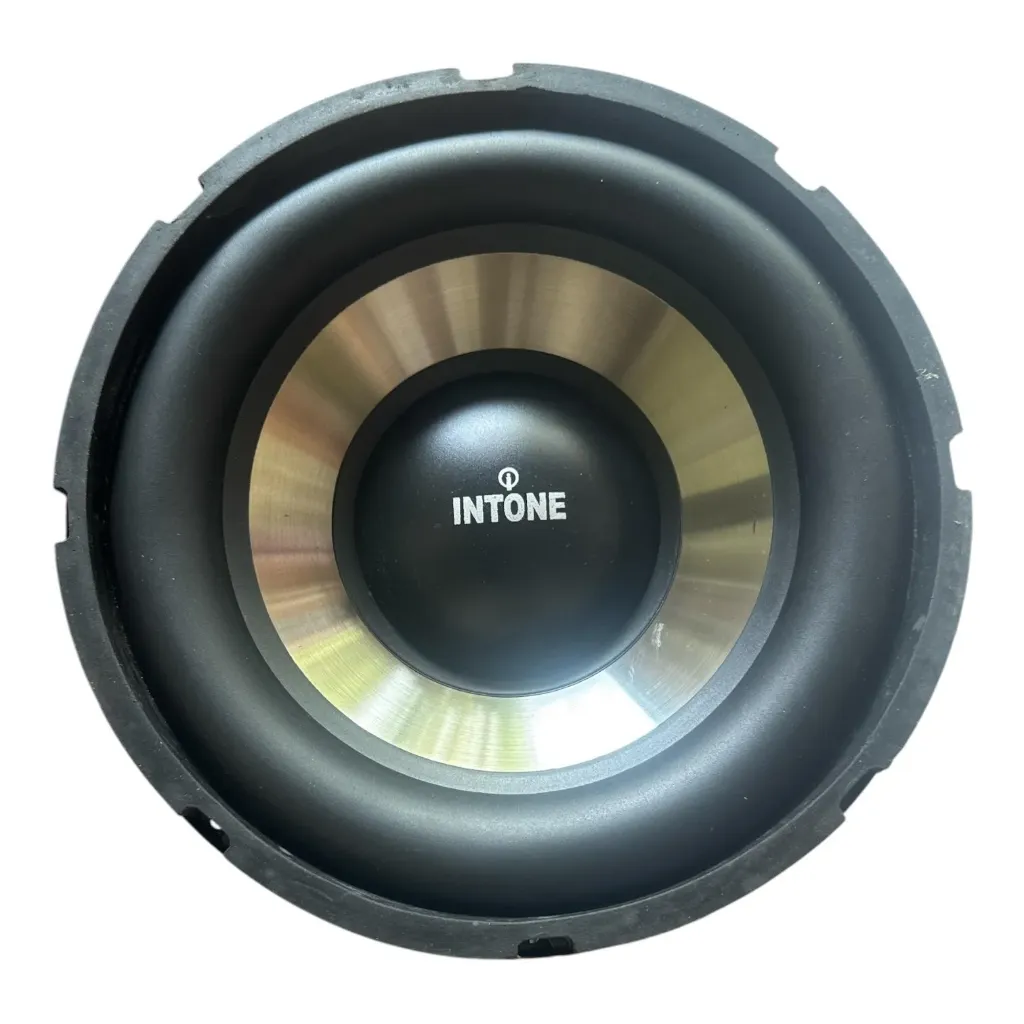 [940121] Intone 10 Inch 150W Subwoofer Speaker