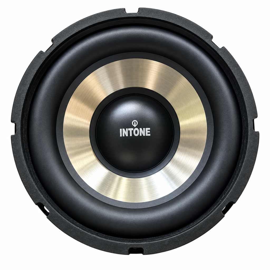 Intone 10 Inch 4Ω 150W Subwoofer Speaker